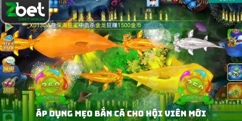 Áp dụng mẹo bắn cá cho hội viên mới