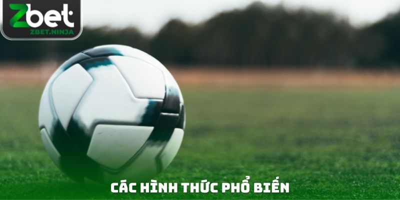 Các hình thức phổ biến