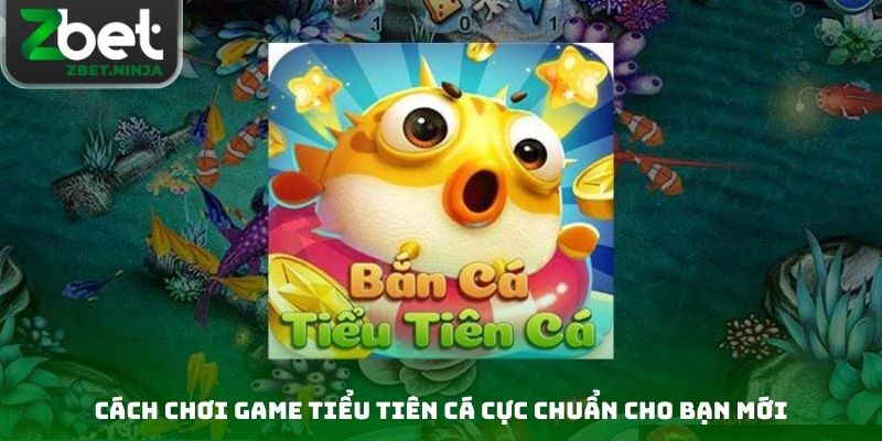 Cách chơi game tiểu tiên cá cực chuẩn cho bạn mới
