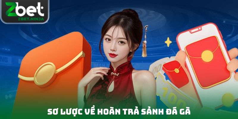 Sơ lược về hoàn trả sảnh đá gà