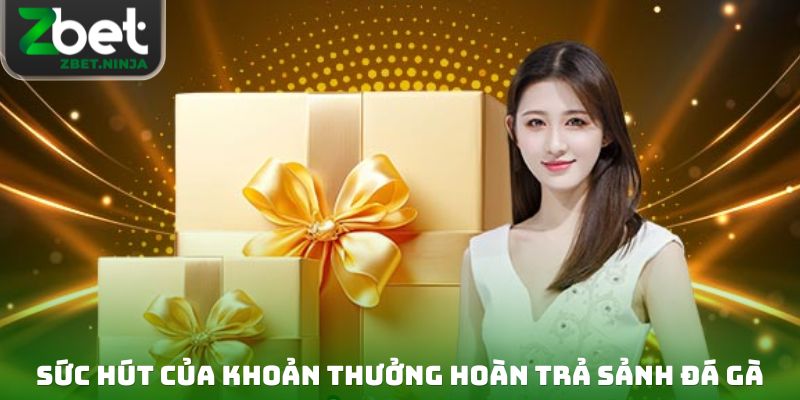 Sức hút của khoản thưởng hoàn trả sảnh đá gà với hội viên