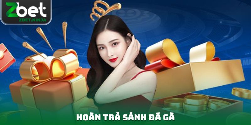 Hoàn Trả Sảnh Đá Gà - Tỷ Lệ Hoàn Vốn Mới Nhất Năm 2026