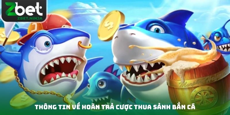 Thông tin về Hoàn trả cược thua sảnh bắn cá