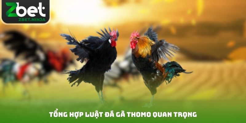 Tổng hợp luật đá gà Thomo quan trọng