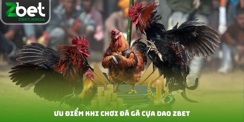 Ưu điểm khi chơi đá gà cựa dao Zbet